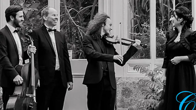 Dolce Strings Featured Photo