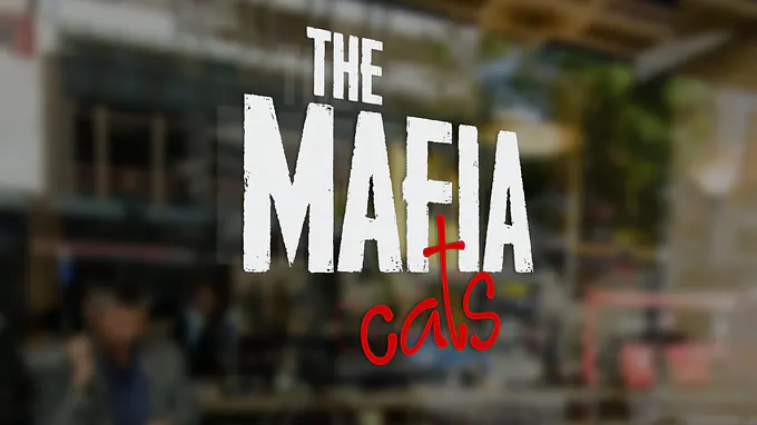 The MAFIA cats Featured Photo